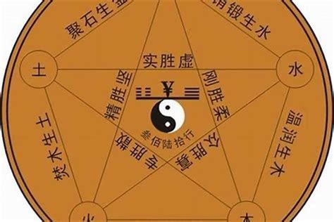 硨磲 五行|白砗磲的五行属什么？白砗磲五行属性是什么？